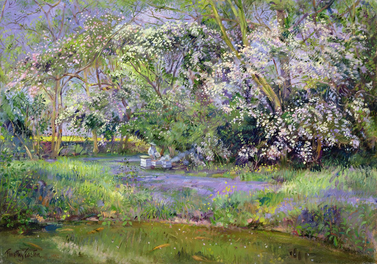 ormanlık kovanlar by Timothy Easton