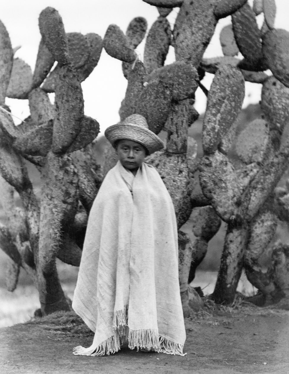 Boy in Front of a Cactus, Veracruz Eyaleti, Meksika, 1927 (bw fotoğraf) by Tina Modotti