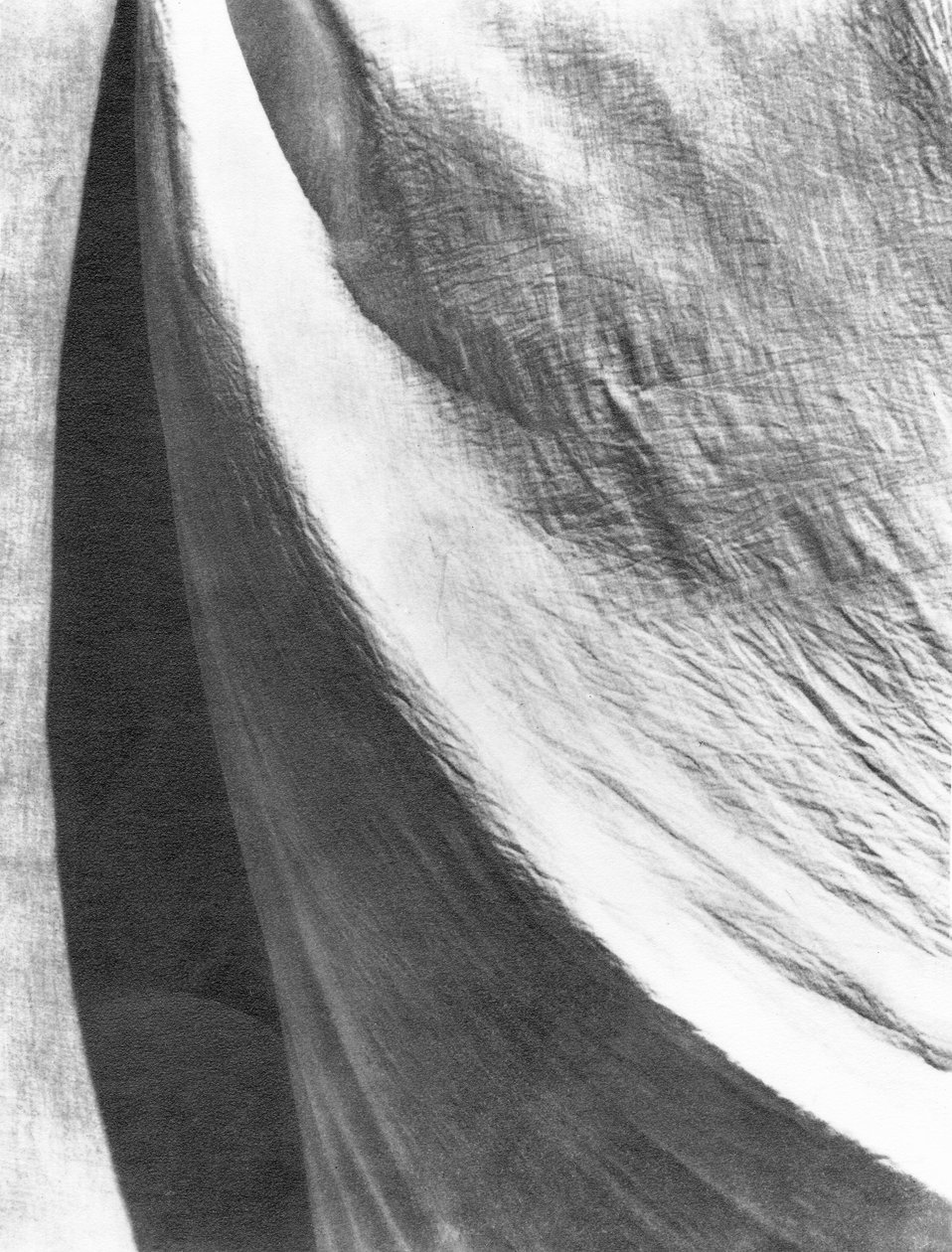 Kumaş, Meksika, 1924 by Tina Modotti
