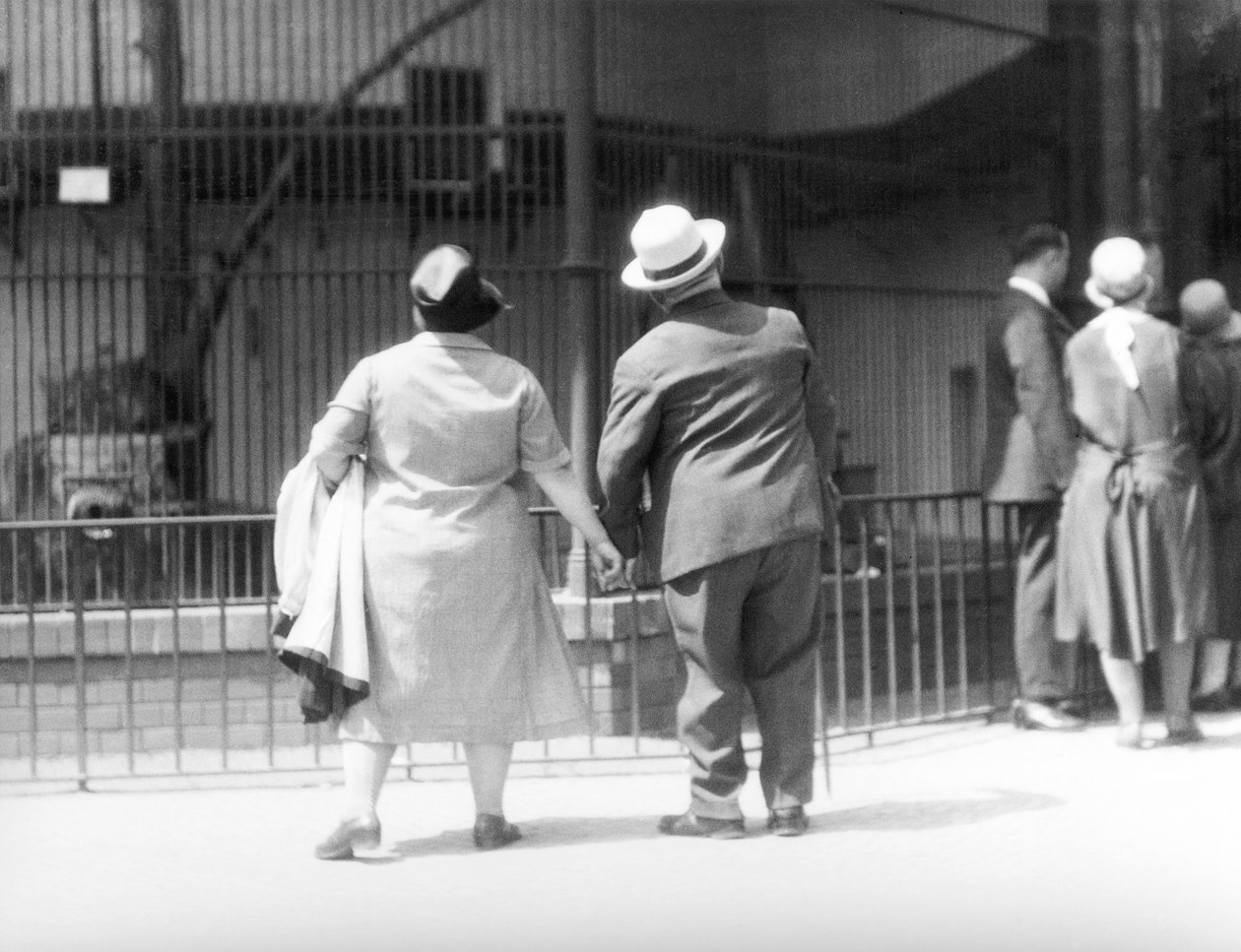 Hayvanat Bahçesinde, Berlin, Almanya, 1930 by Tina Modotti