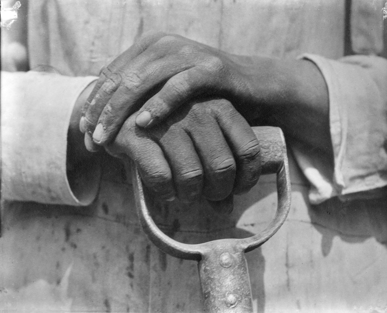 Bir İnşaat İşçisinin Elleri, Meksika, 1926 by Tina Modotti