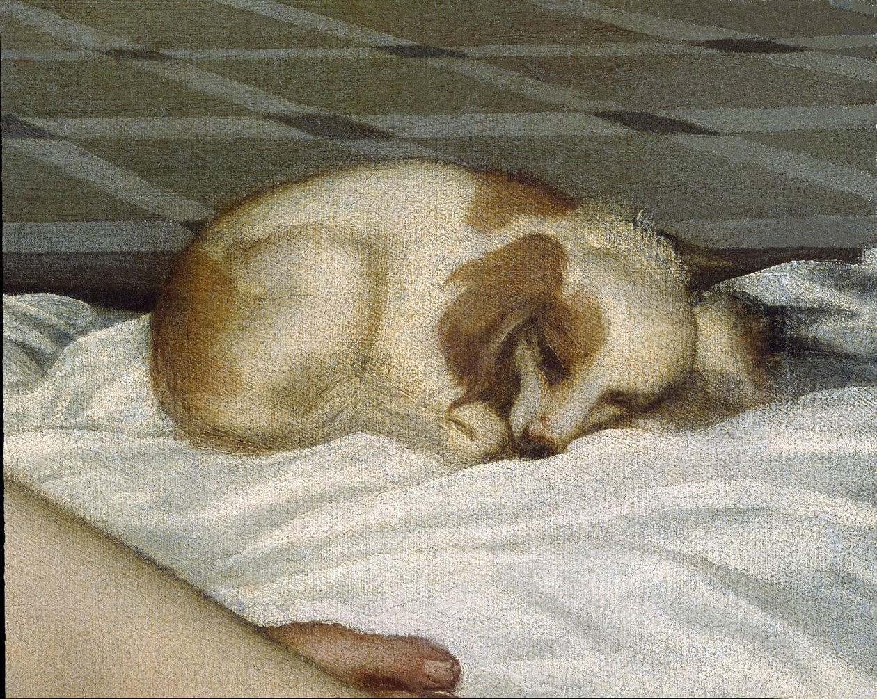 Urbino Venüsü, 1538 öncesi yağlı boya tuval detayı 291644 by Tiziano Vecelli