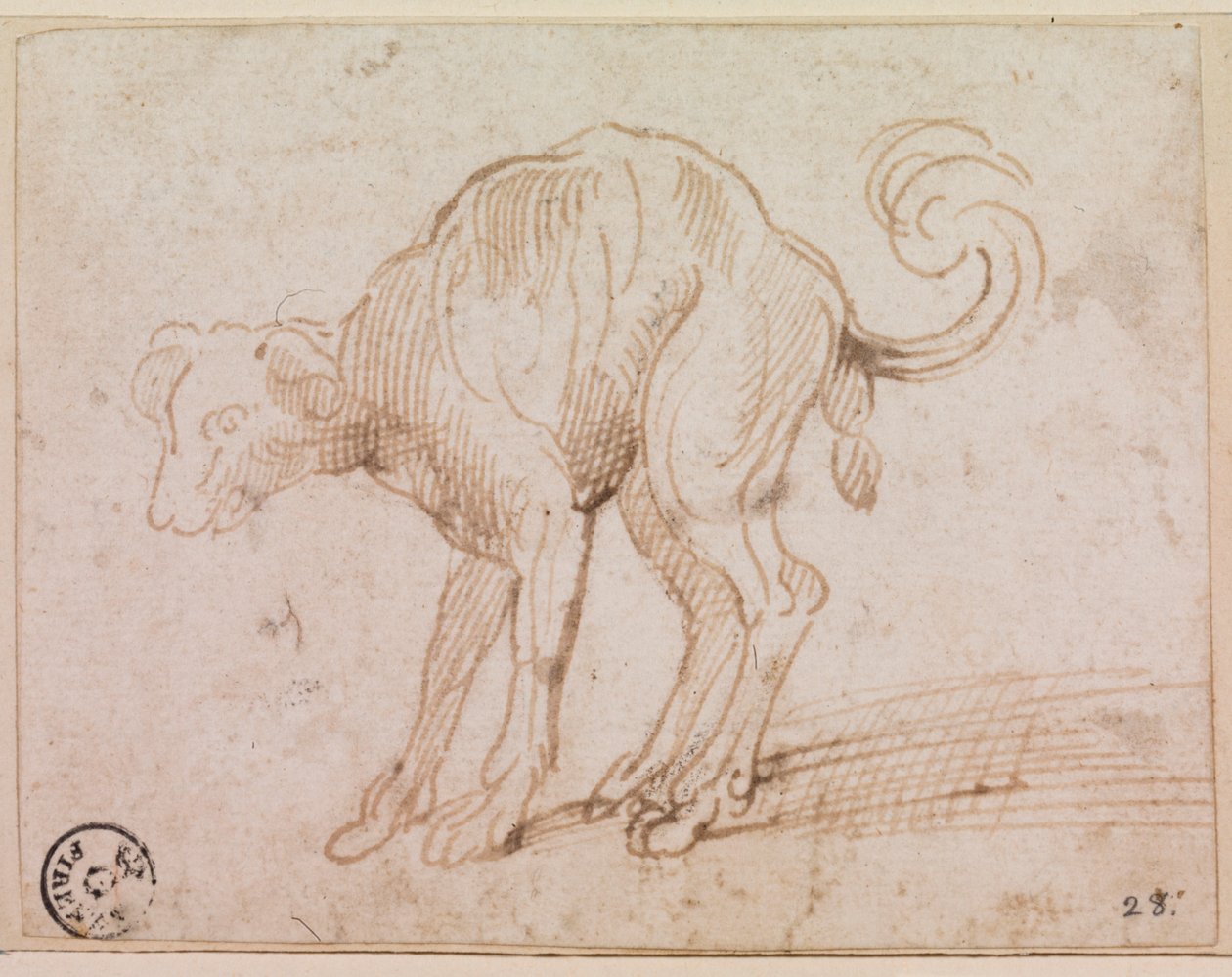  by Titian (c.1488 1576)