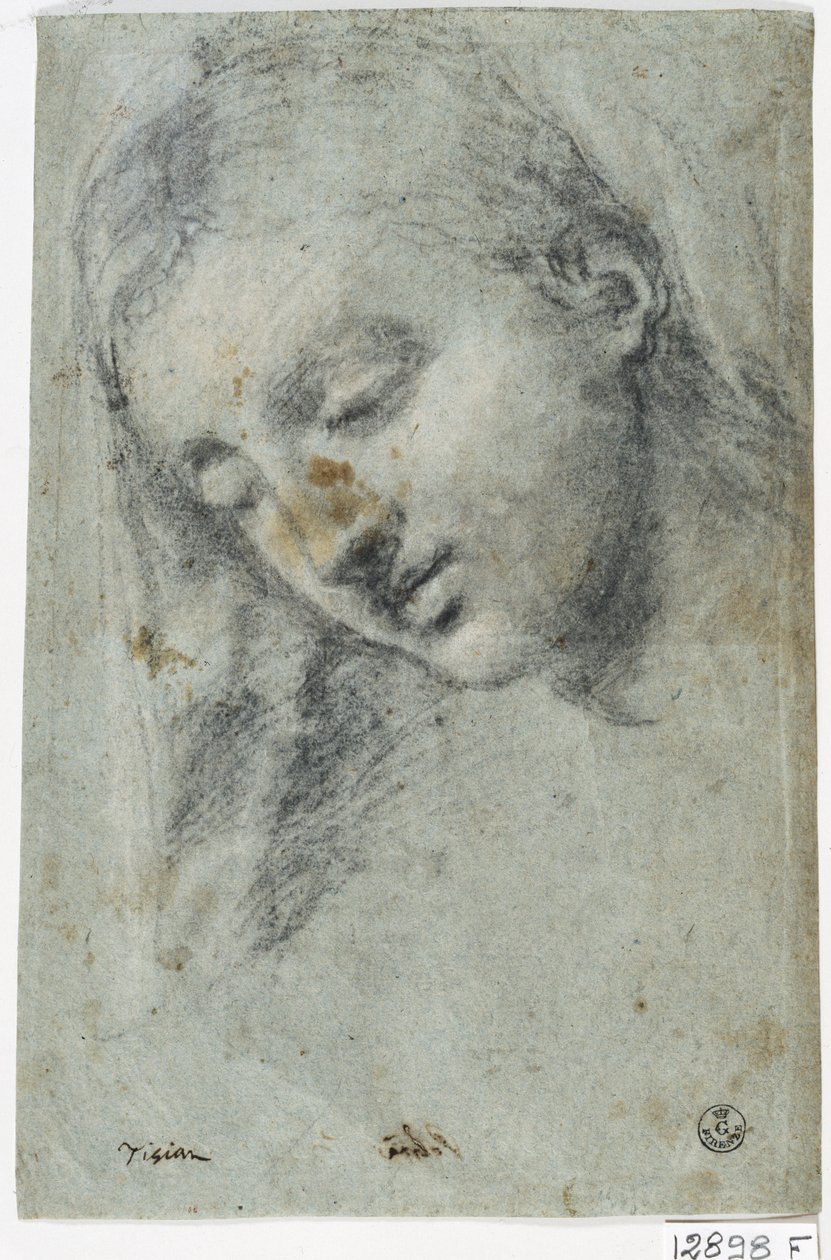 Kadın Başı (kağıt üzeri kömür) by Titian (c.1488 1576)