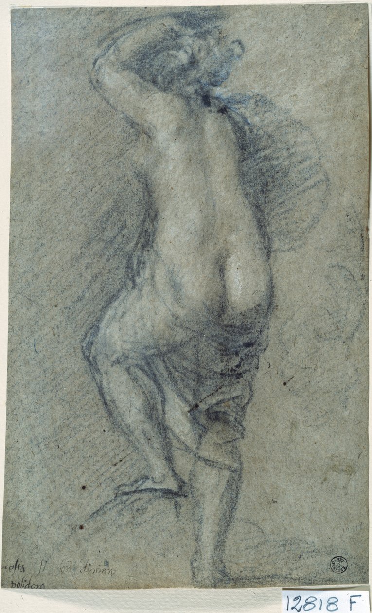 Çıplak Kadın (kağıt üzerine tebeşir) by Titian (c.1488 1576)