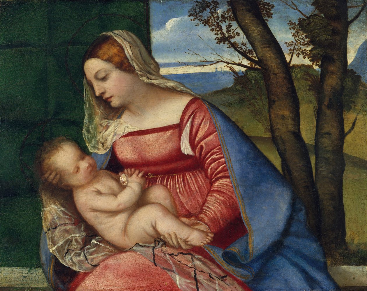 Madonna ve Çocuk, c.1508 (tahta üzerine yağlı boya) by Tiziano Vecelli