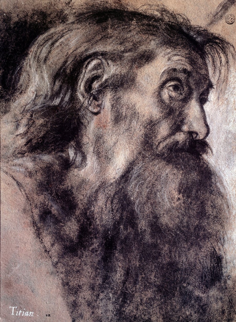 Yaşlı adamın kafası Titian (1485-1576) adlı Tiziano Vecellio