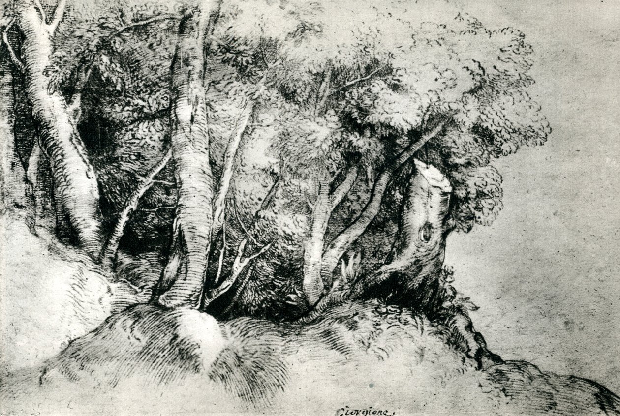 Orman Manzarası, c1516-1518, 1937 by Tiziano Vecelli