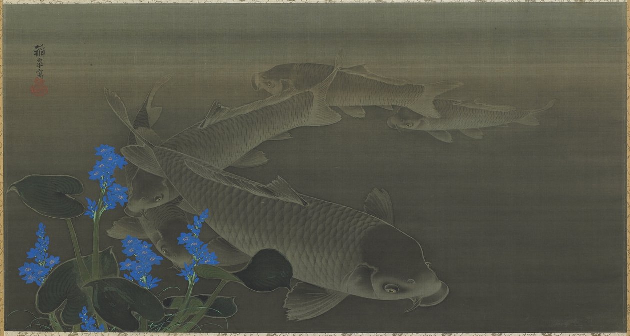 Sazan, Edo dönemi, 1787-1846 (ipek üzerine mürekkep ve renk) by Toko Kuroda