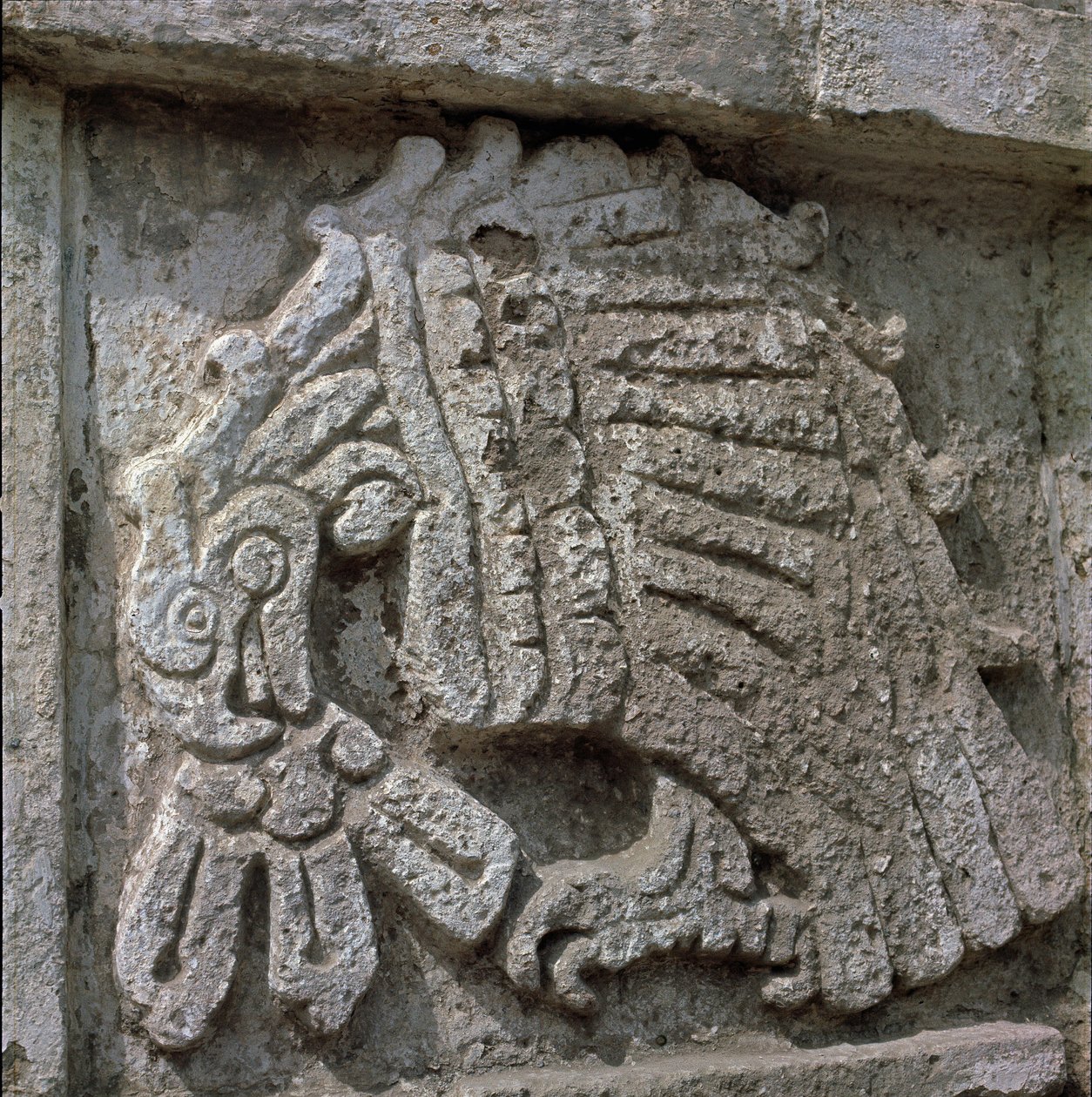 Bir kartal kabartması, Quetzalcoatl tapınağı by Toltec Toltec