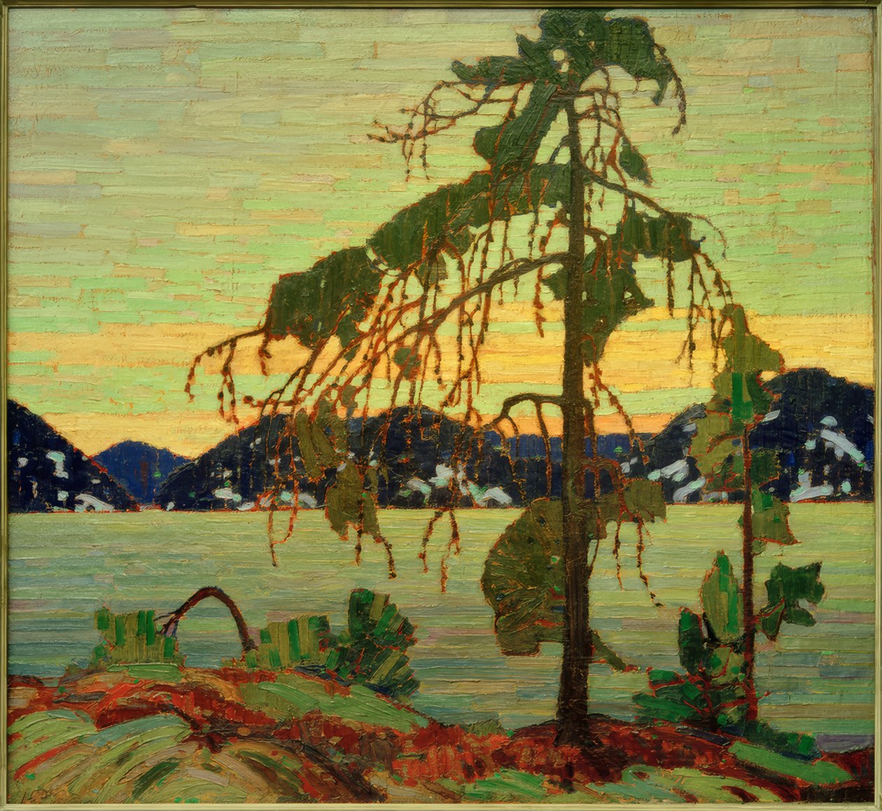 Jack Çamı by Tom Thomson