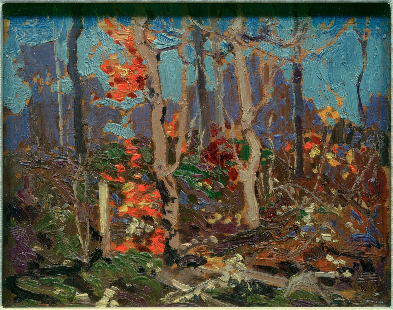düzensiz meşeler by Tom Thomson