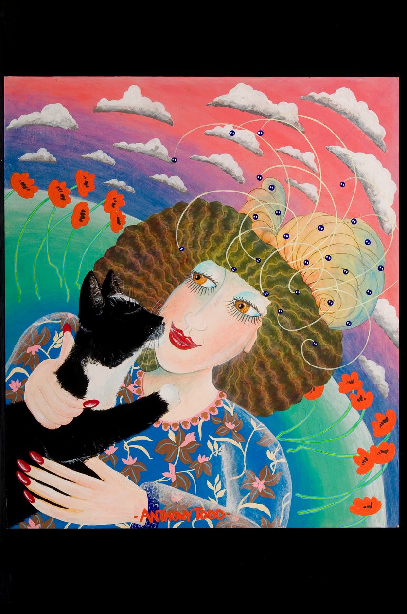 Binkies and Poppies, 2010 (gemide akrilik) by Tony Todd