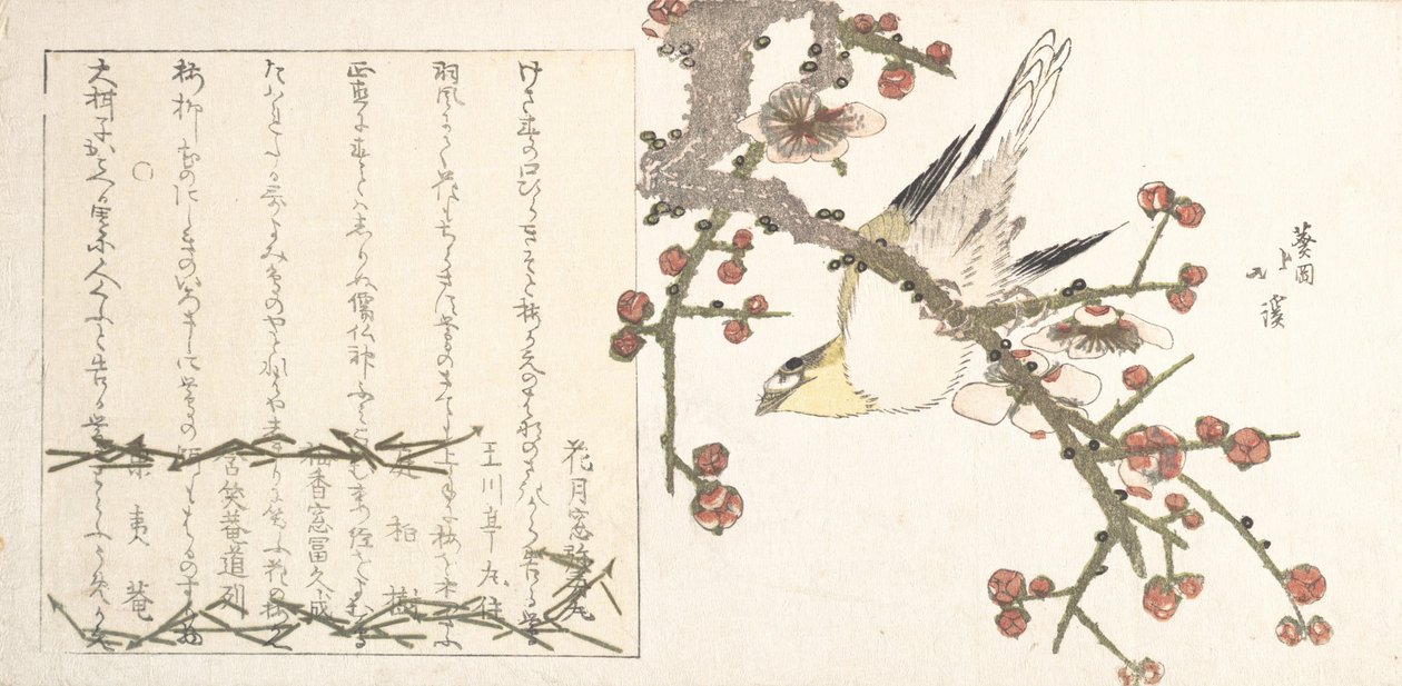 Bir Erik Dalı üzerinde Bush Warbler Ume ni uguisu, 19. yüzyılın başlarında. by Totoya Hokkei