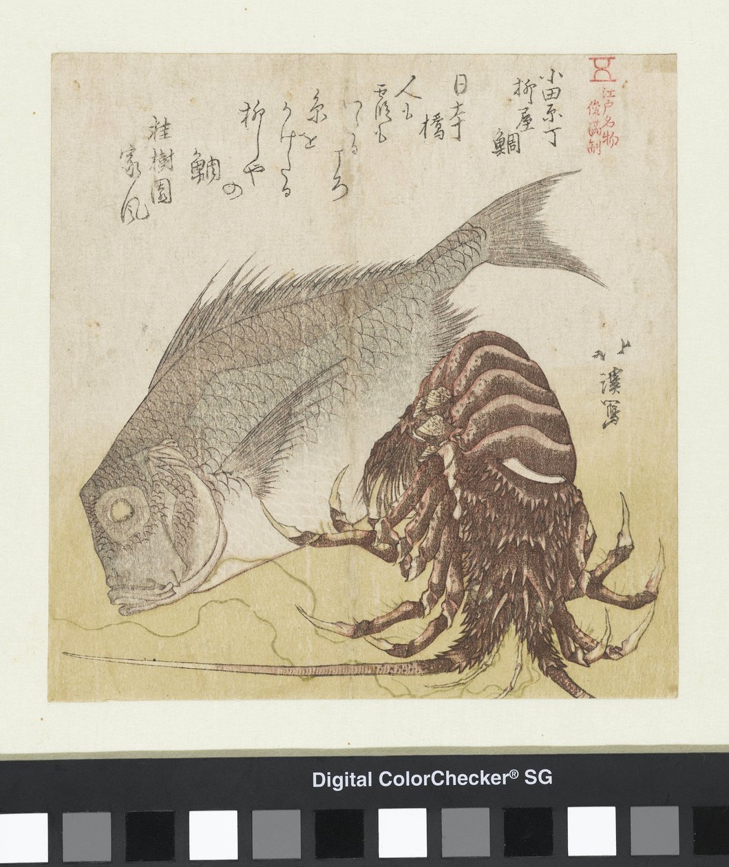 Odawara Chô
