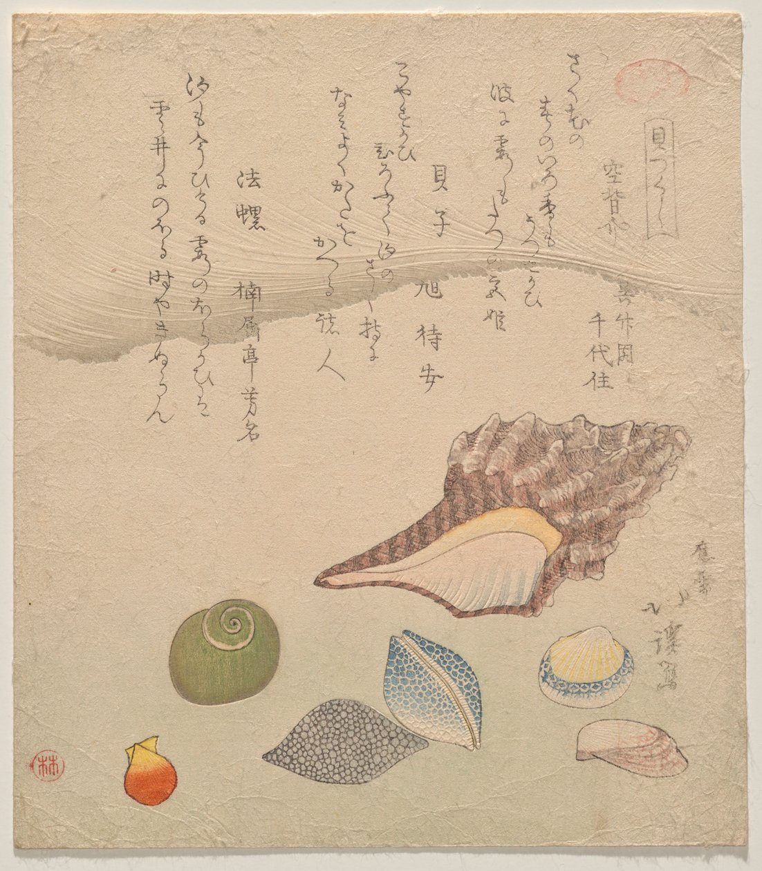Denizin Kıyısında Yedi Kabuk, Kabuklar Özeti (Kaizukushi) serisinden by Totoya Hokkei