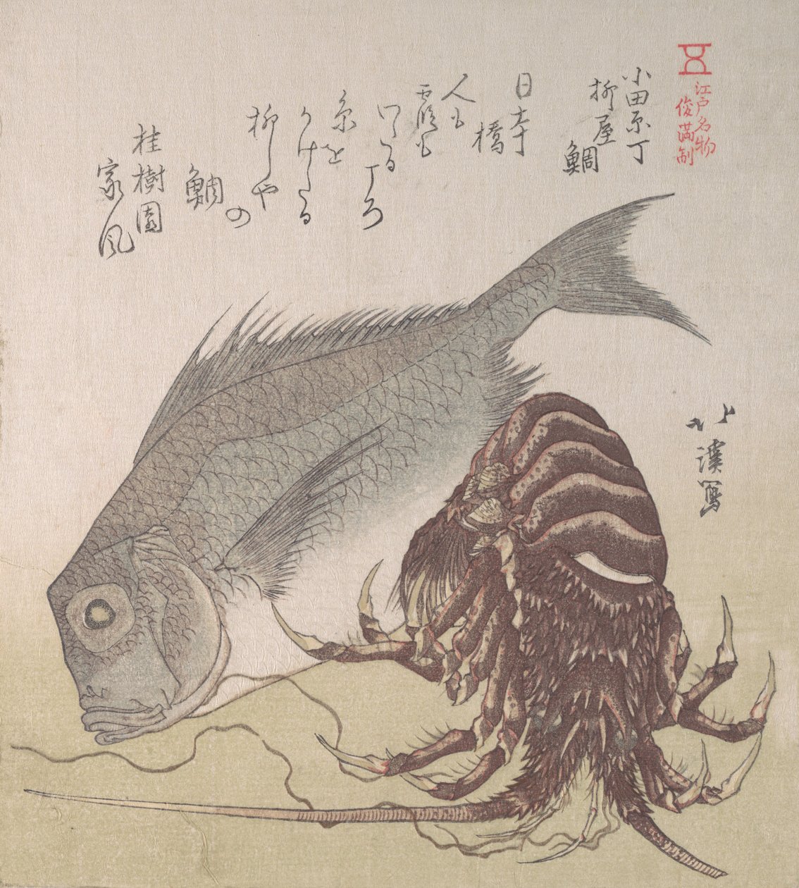 Tai Balığı ve Istakoz, Odawara-cho
