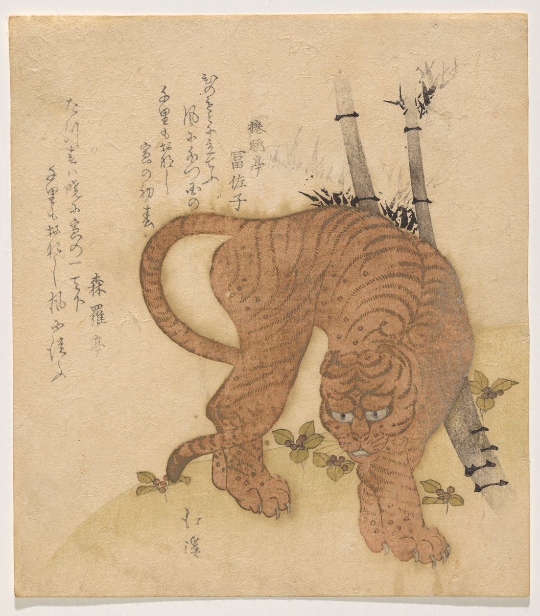 Poz Veren Kaplan by Totoya Hokkei