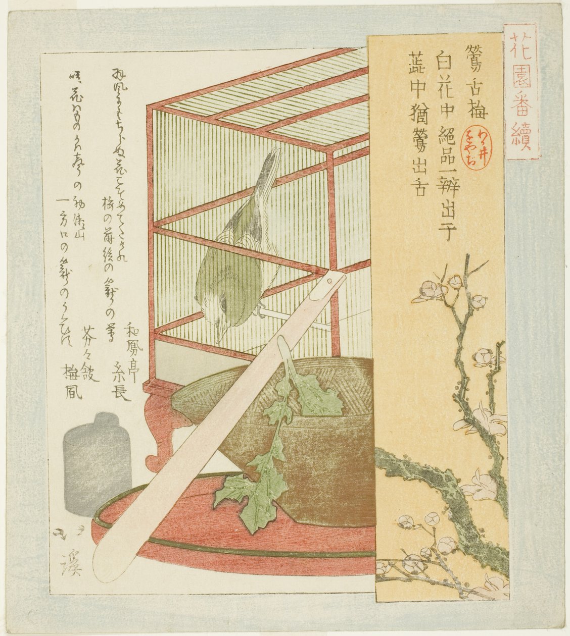 "Hanazono Grubu için A Serisi (Hanazono bantsuzuki)" dizisinden kafeste ötleğen by Totoya Hokkei