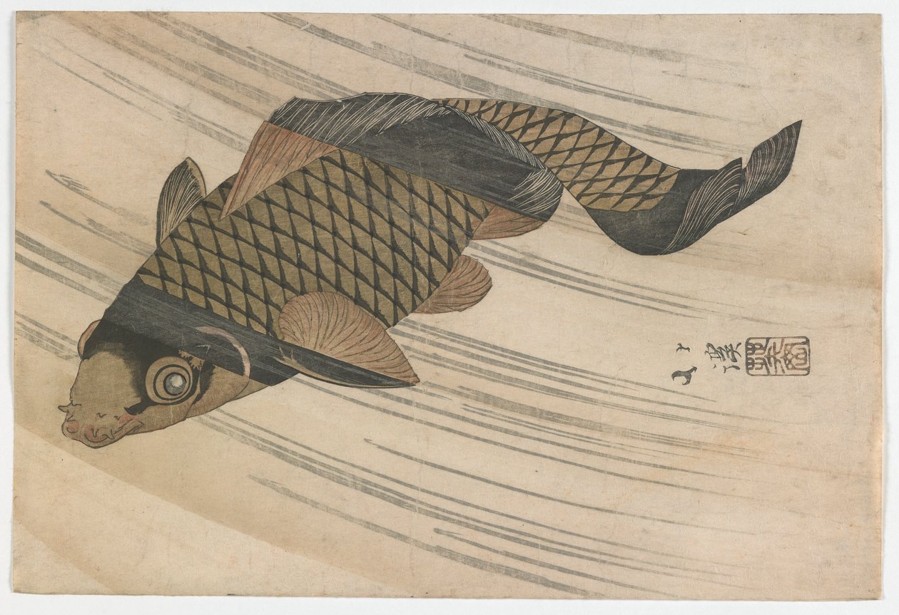 Membada Yüzen Sazan, Edo dönemi, 1820