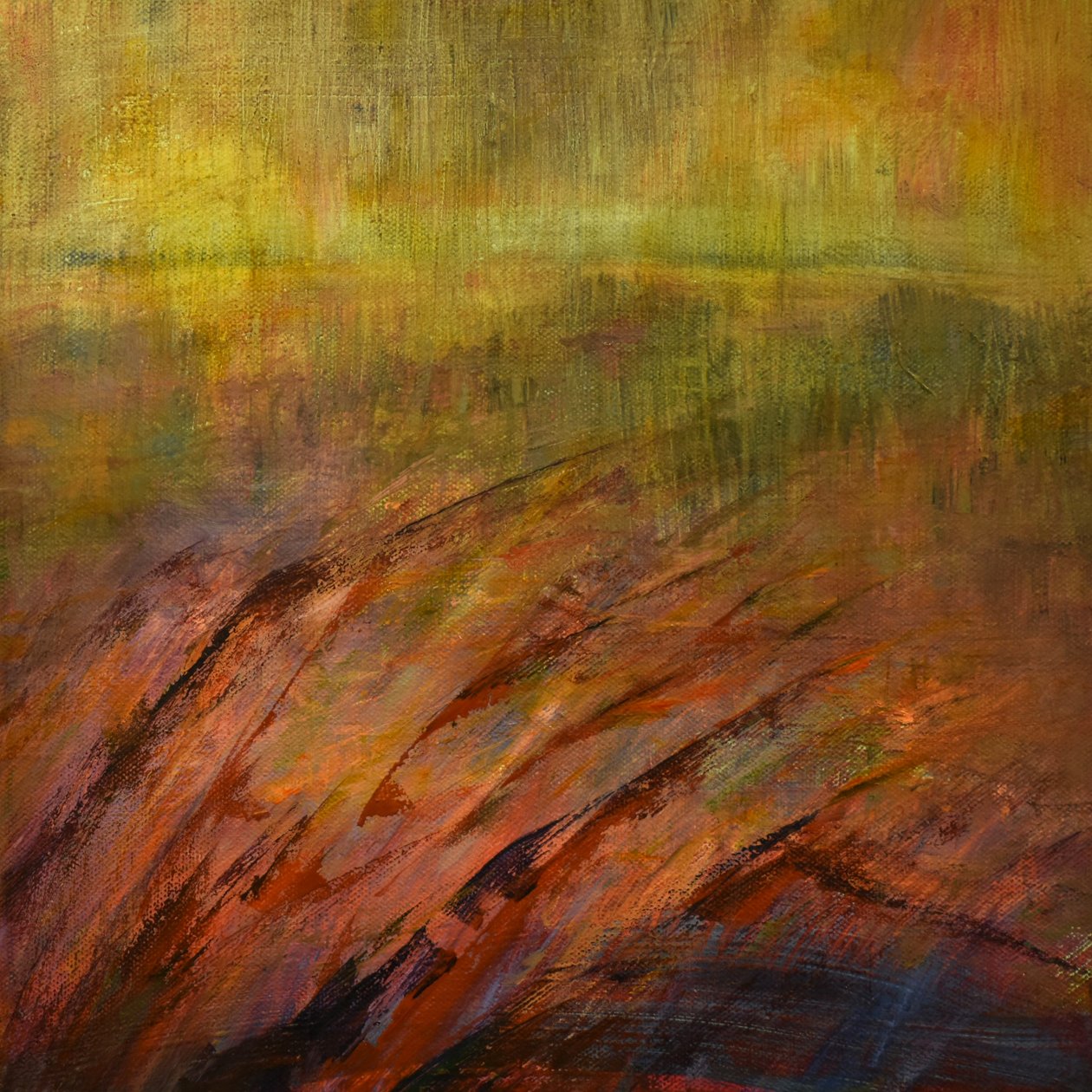  by Tracy Lambros