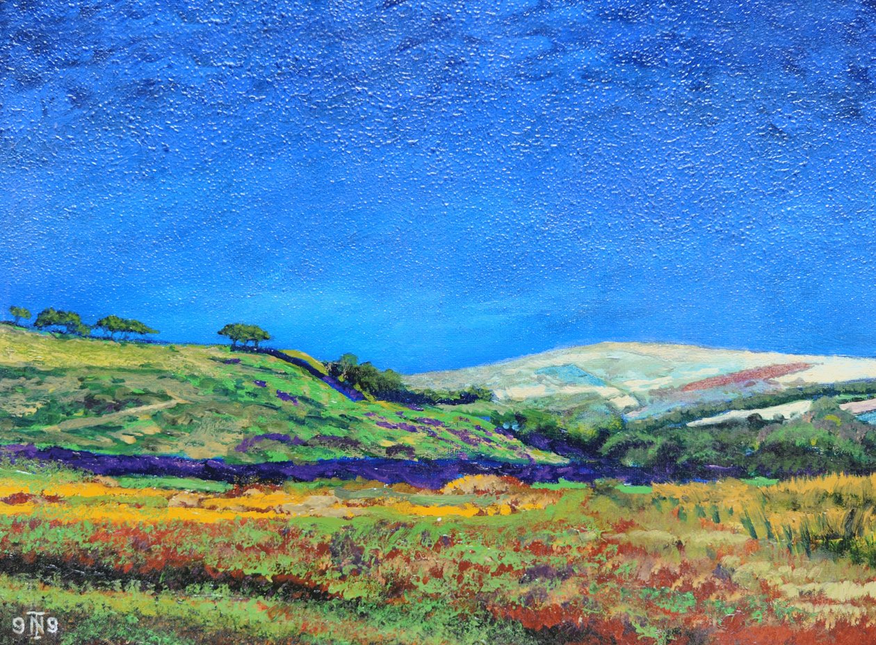 Derbyshire manzarası, 1999 by Trevor Neal