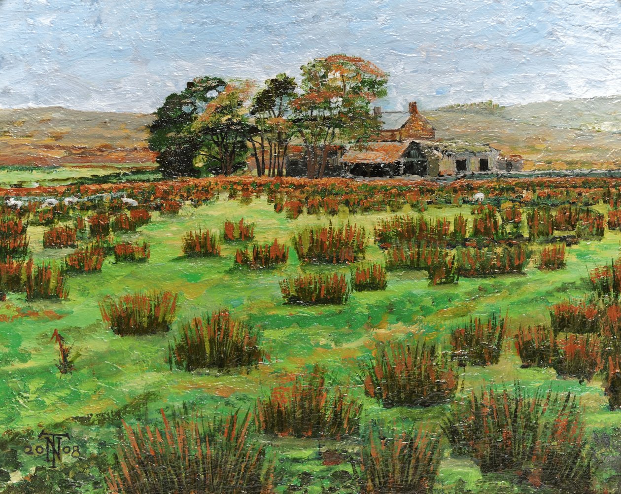 Çiftlik Cumbria, 2008 by Trevor Neal