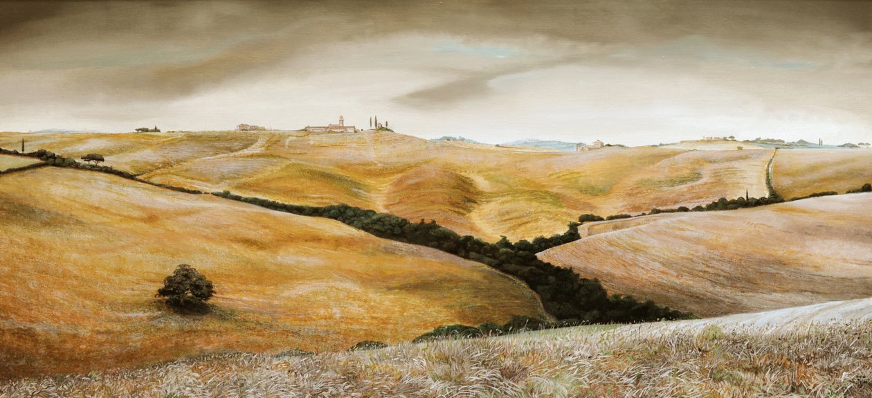 Tepedeki Çiftlik, Toskana, 2001 by Trevor Neal