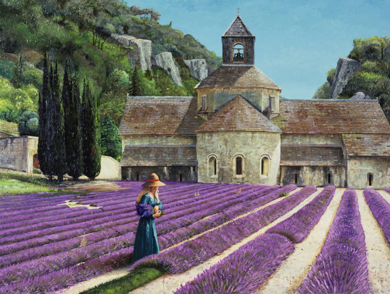 Lavanta Seçici, Senanque Manastırı, Provence by Trevor Neal