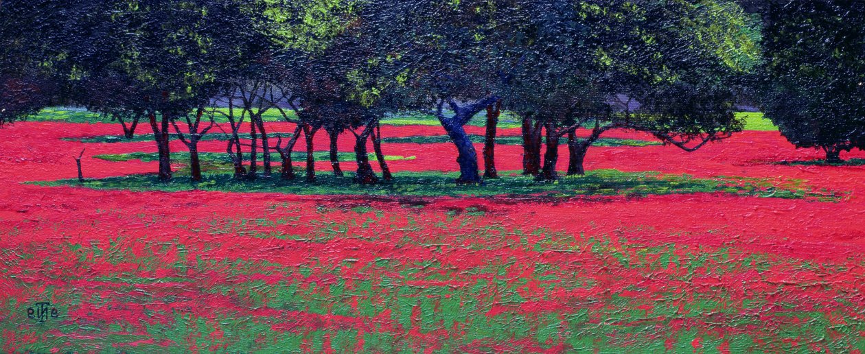 Kızıl Şok, 1999 by Trevor Neal