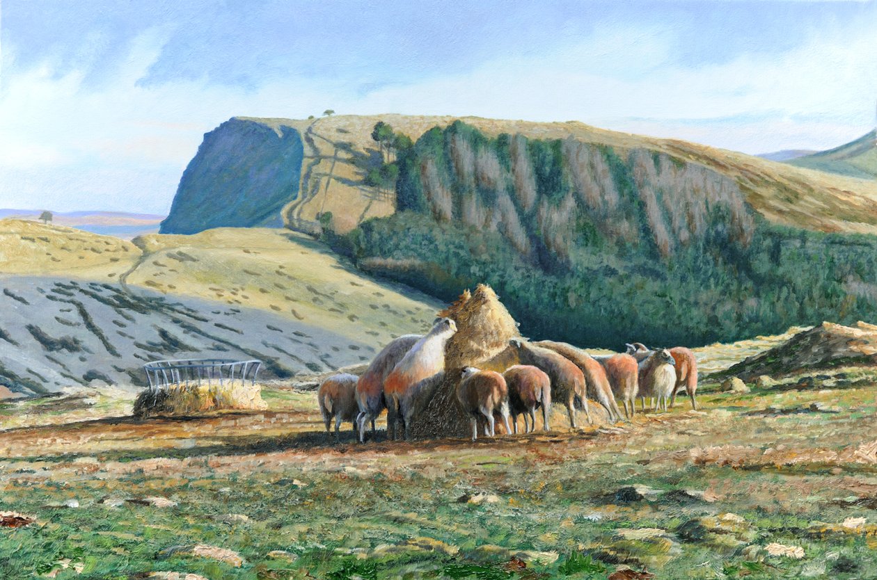 Koyun Besleme, 2004 by Trevor Neal
