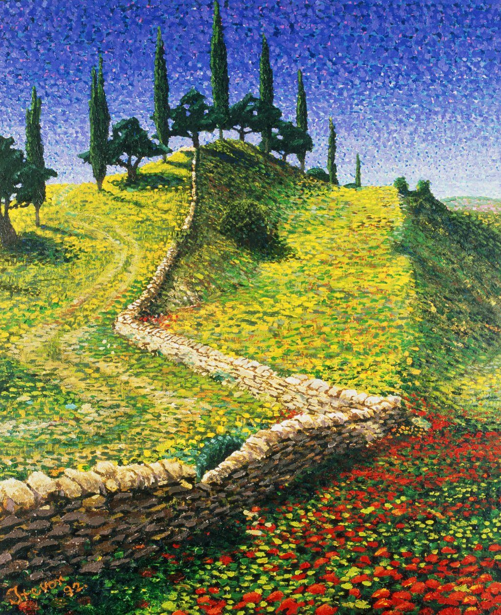 İspanyol Tepesi, 1992 by Trevor Neal