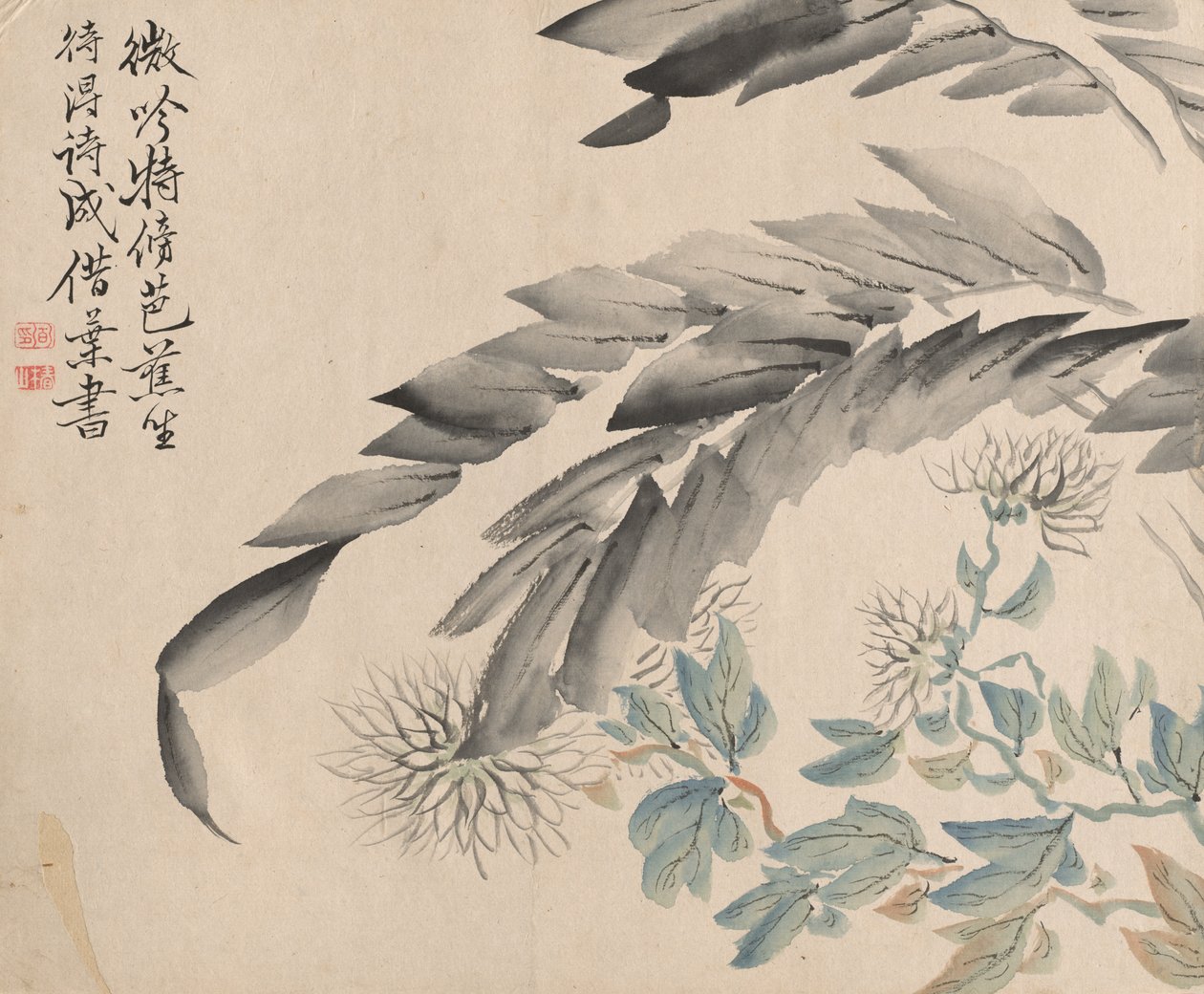 Muz Bitki ve Krizantem by Tsubaki Chinzan