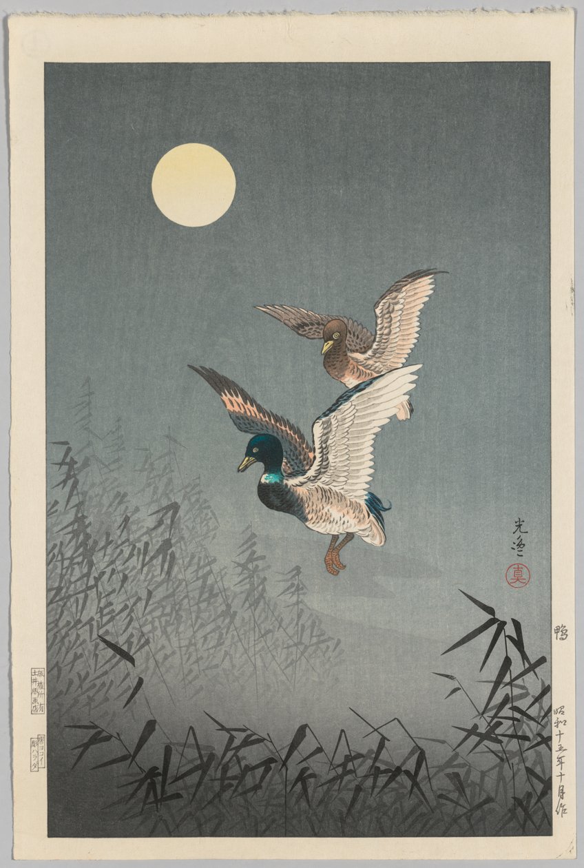 Tokyo Manzarası: Ördekler by Tsuchiya Kōitsu