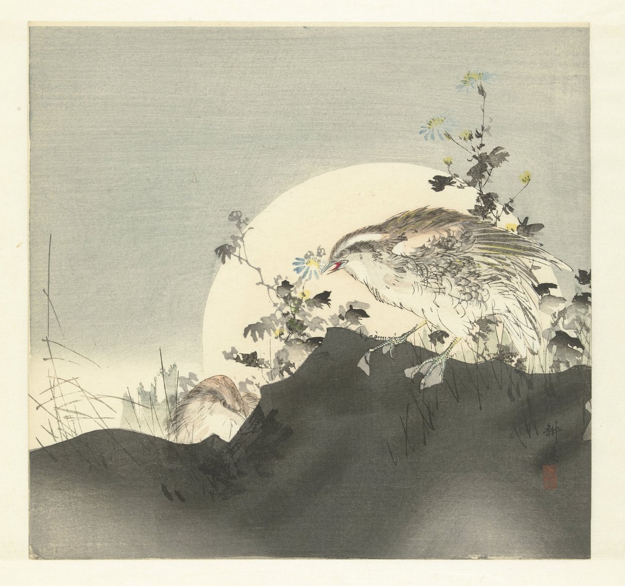 Bıldırcın by Tsukioka Kogyo