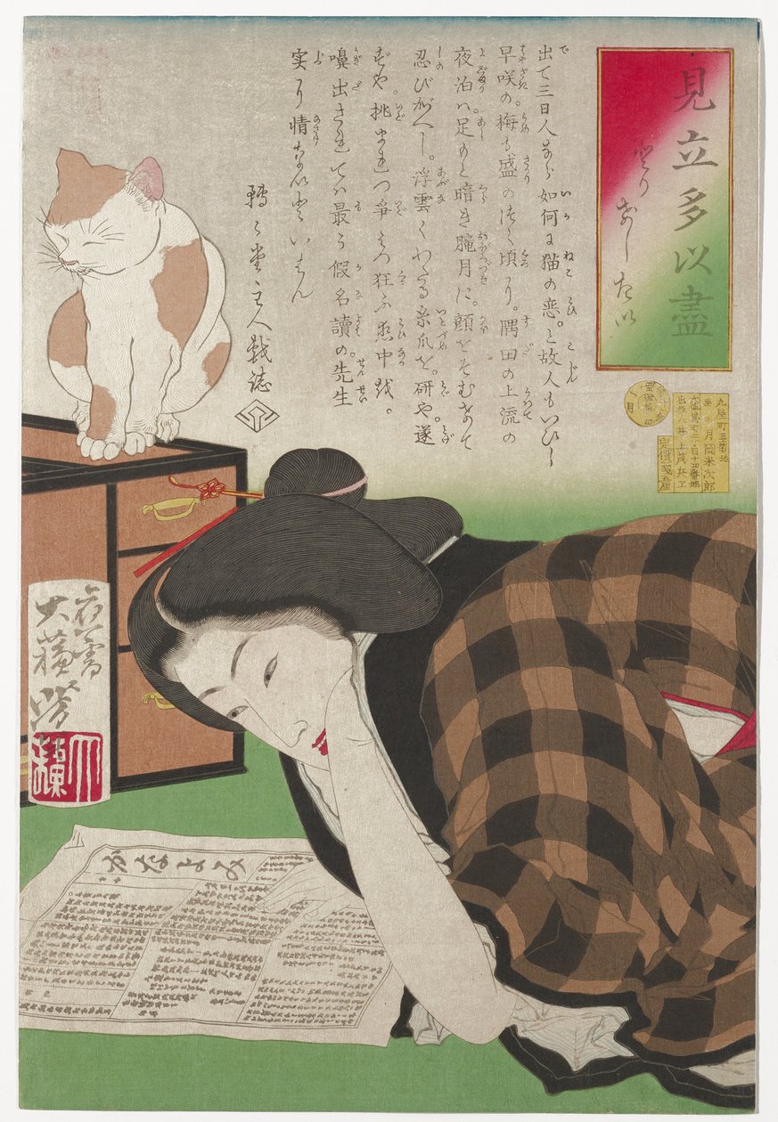 Aboneliğimi iptal etmek istiyorum, Ocak 1878 (tahta baskı) by Tsukioka Yoshitoshi