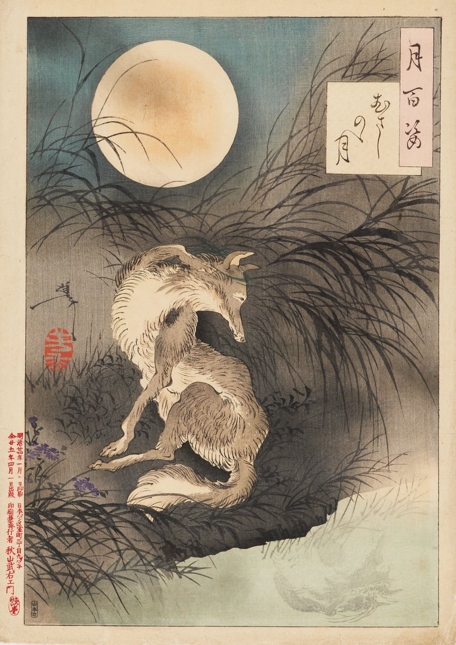 Musashi Ovası Ay by Tsukioka Yoshitoshi