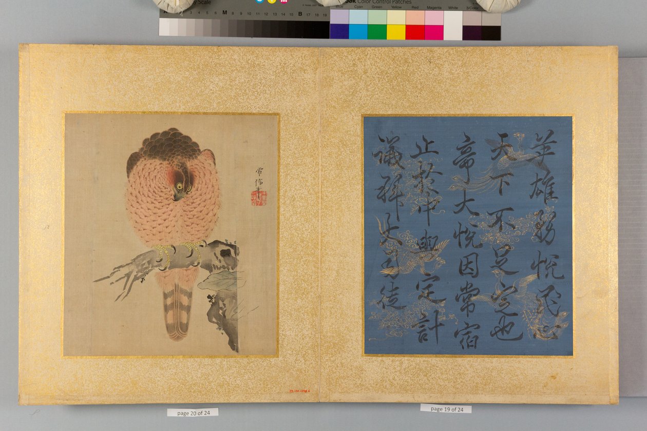 Şahinler ve Kaligrafi Albümü by Tsunenobu Kano