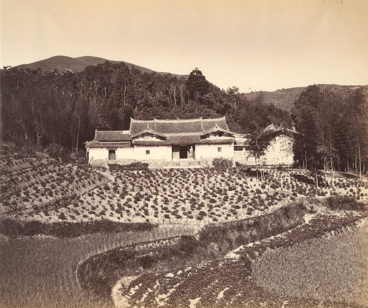 Teafield & Josshouse, Peling, yak. 1869. by Tung Hing.