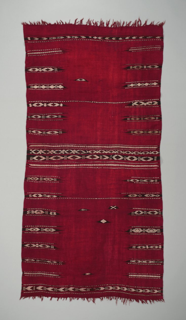 Kadının tören mantosu (baqnouq), 20. yüzyılın başları (yün ve pamuk) by Tunisian School