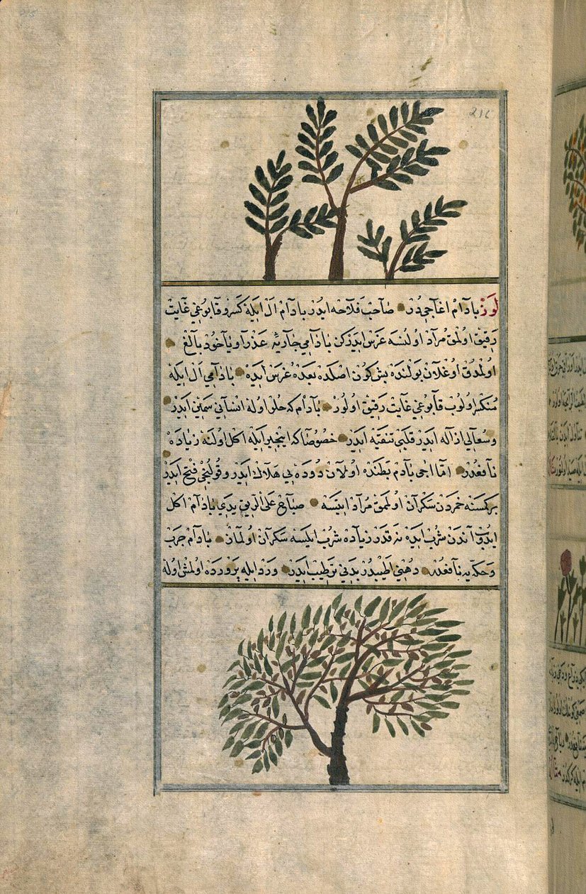 Zakariya ibn Muhammed al-Qazwini