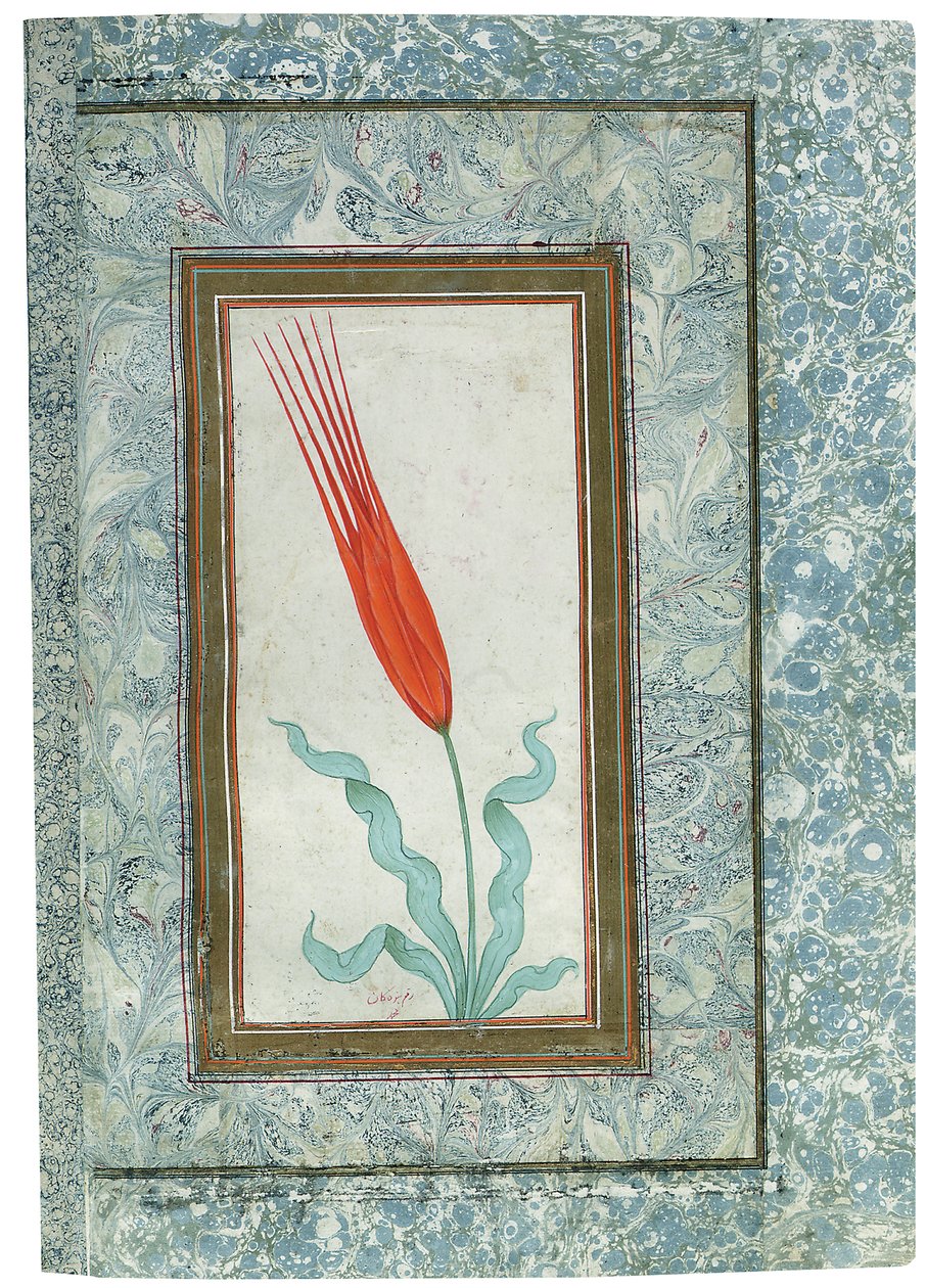 Türk Lale albümünden sayfa, İstanbul, 1725 by Turkish School