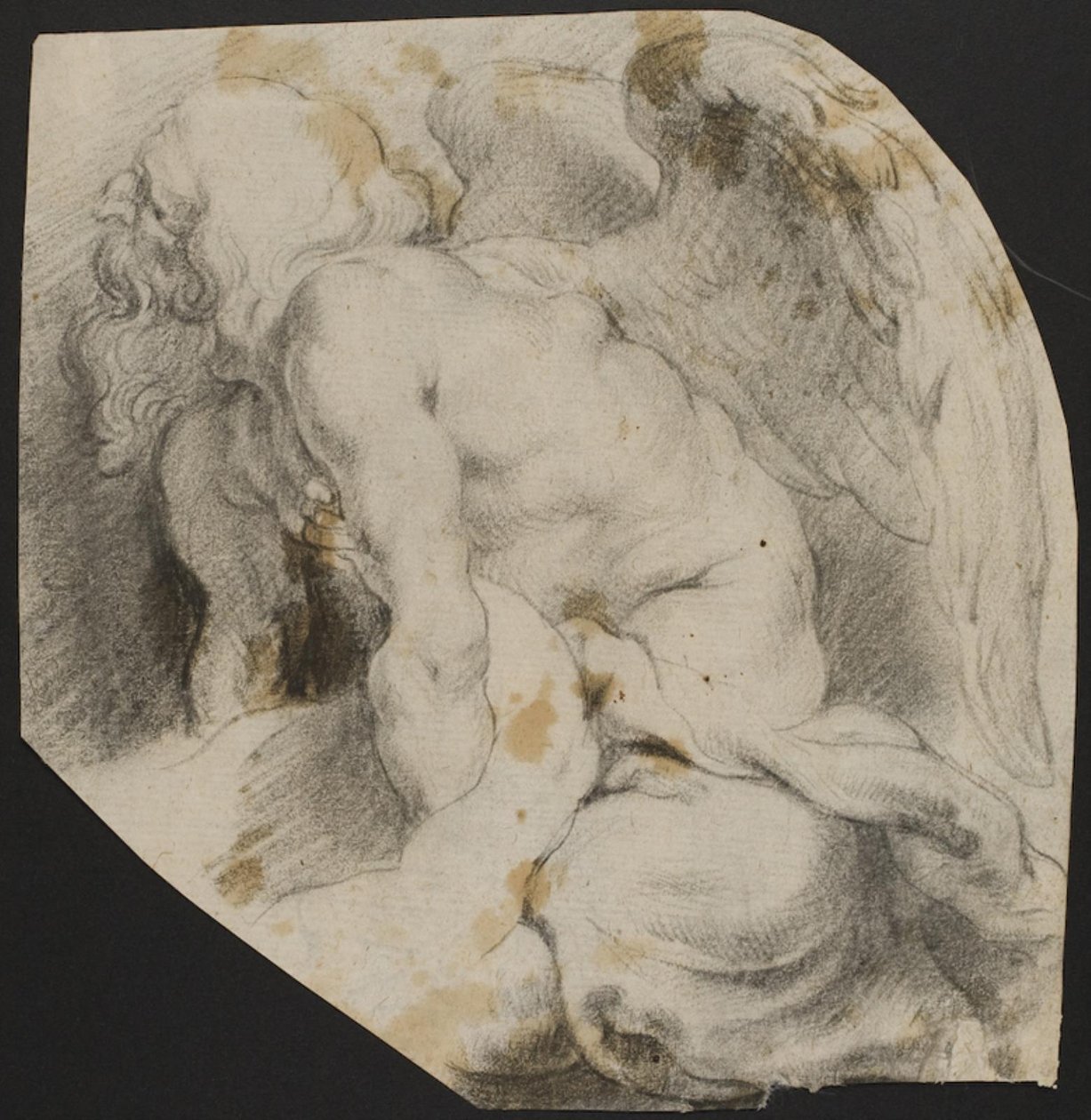 "Medici Maria