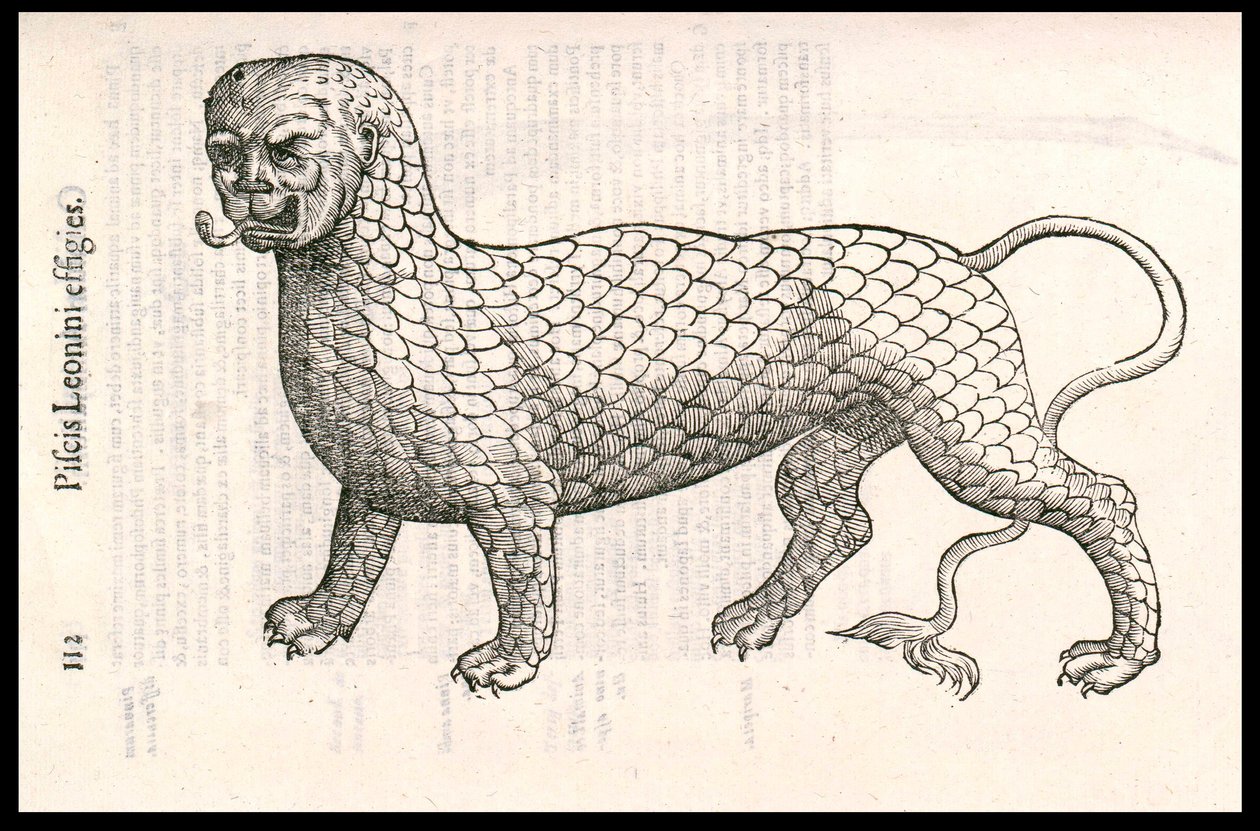 Canavar Yaratık: balık pulları (veya aslan balığı) ile kaplı bir aslan. Gravür Ulisse Aldrovandi (1522-1605), “Monstrorum Historiae”, Bologna 1642 by Ulisse Aldrovandi