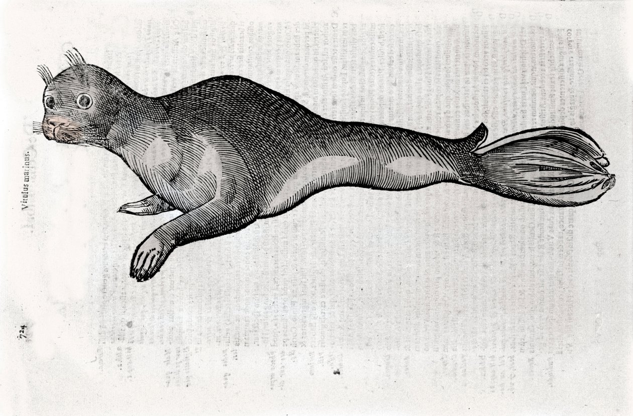 Ulisse Aldrovandi (1522-1605), Ulisse Aldrovandi fonds, University Library of Bologna, ed. 1603. by Ulisse Aldrovandi