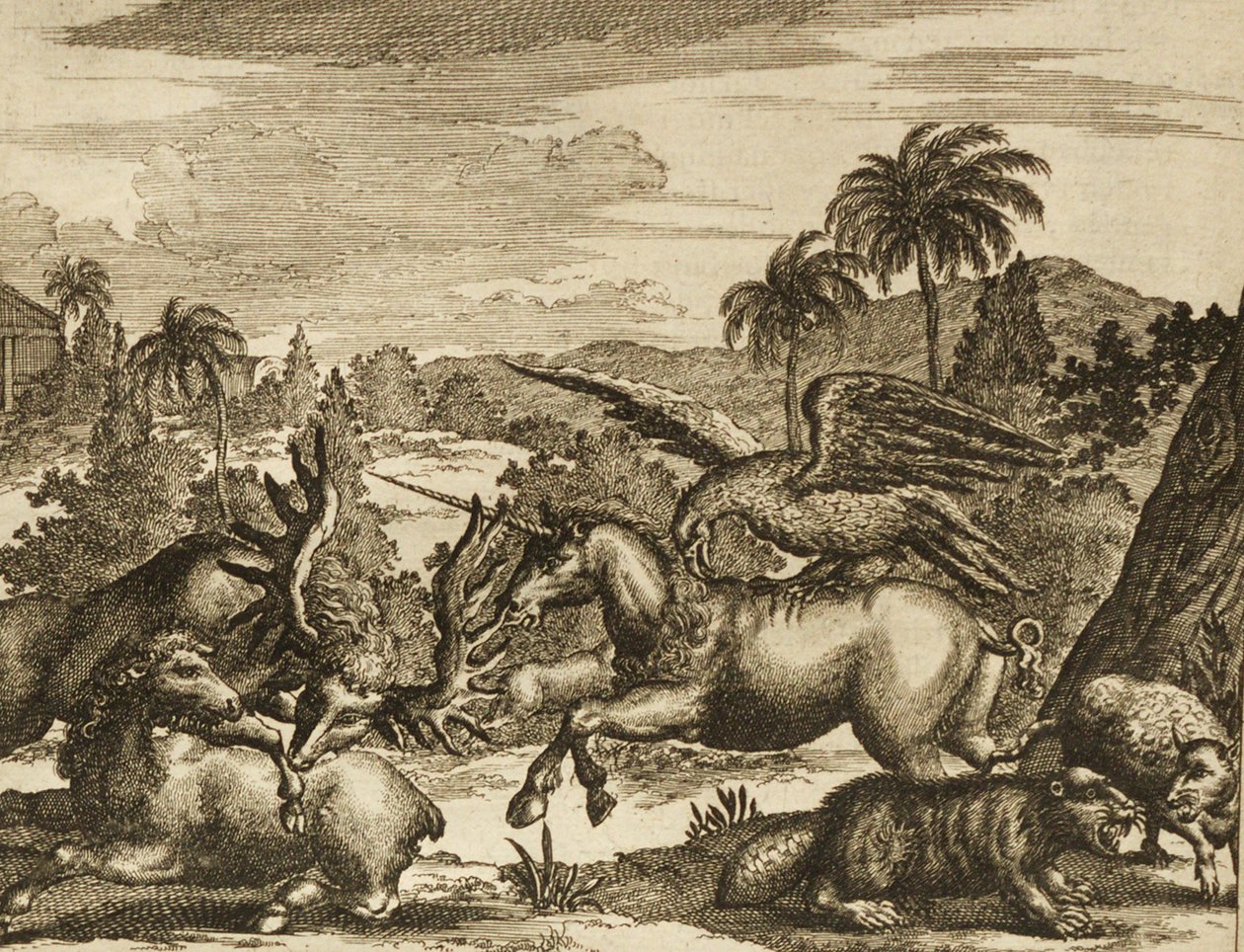 Tek boynuzlu at ile Yeni ve Bilinmeyen Wereeld by Unbekannt Unbekannt