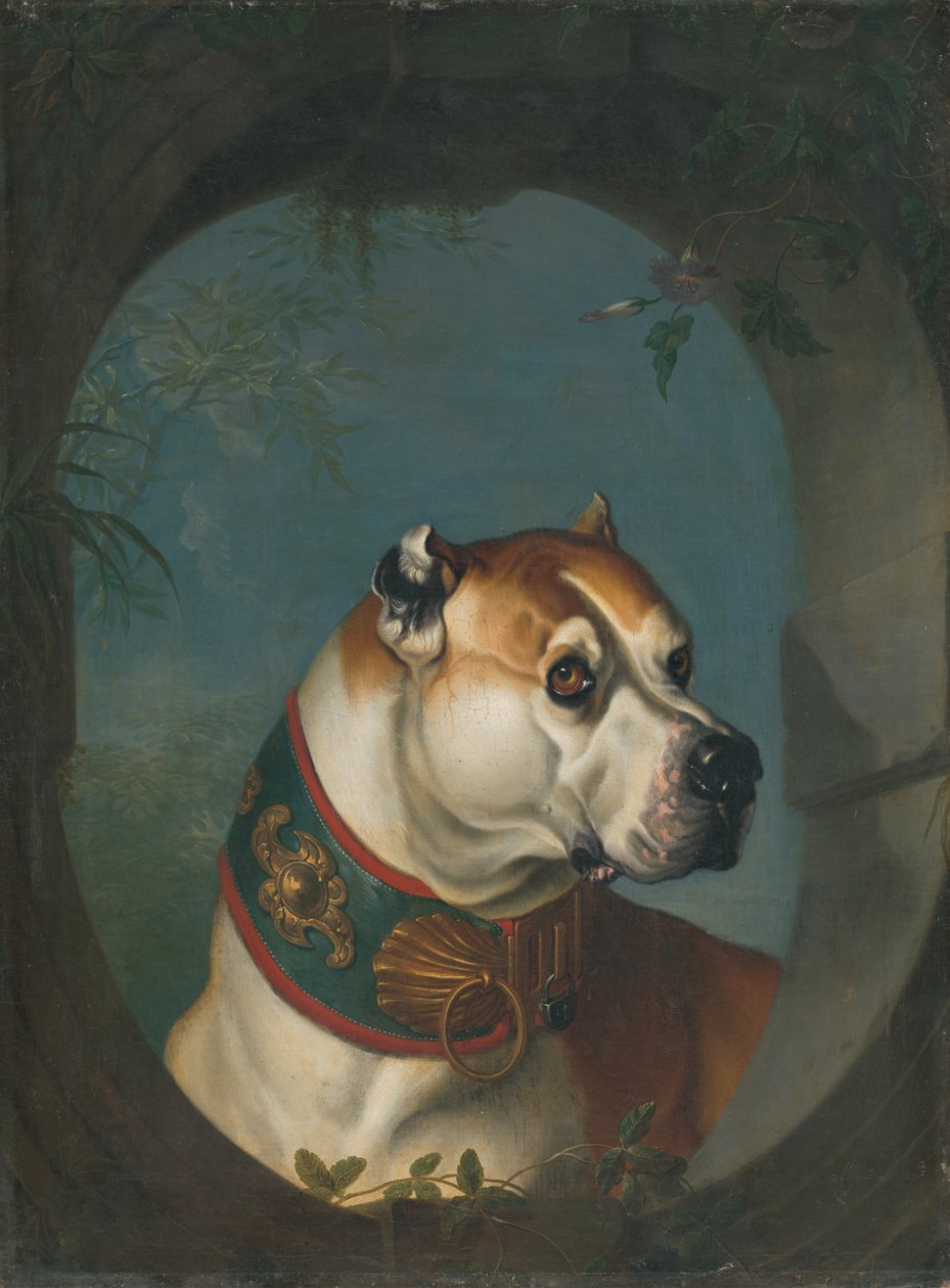 Bir köpeğin portresi by Unbekannt Unbekannt