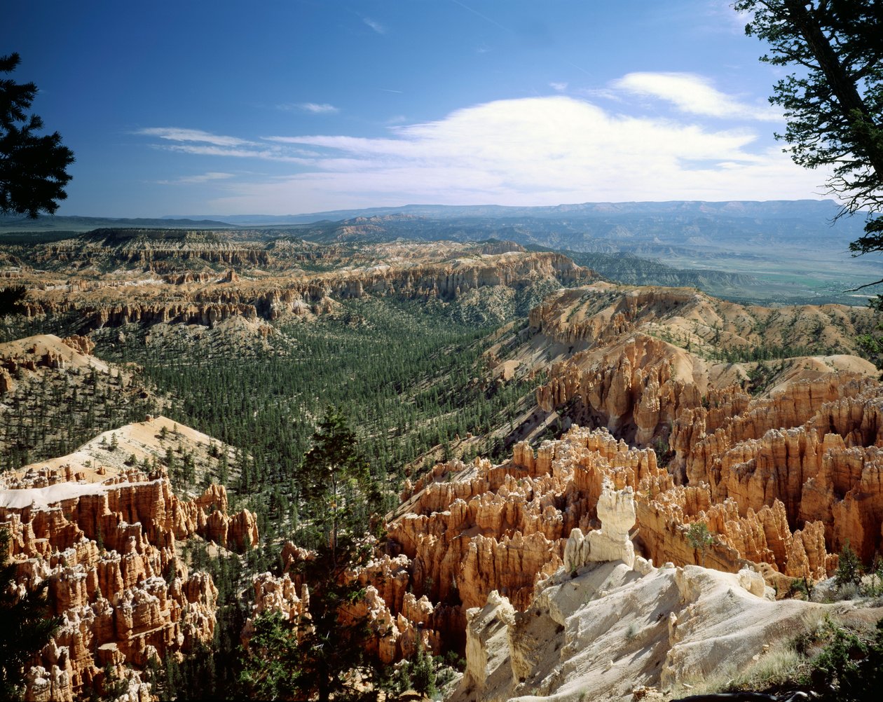 Bryce Kanyonu Ulusal Parkı, Utah by Unbekannt Unbekannt