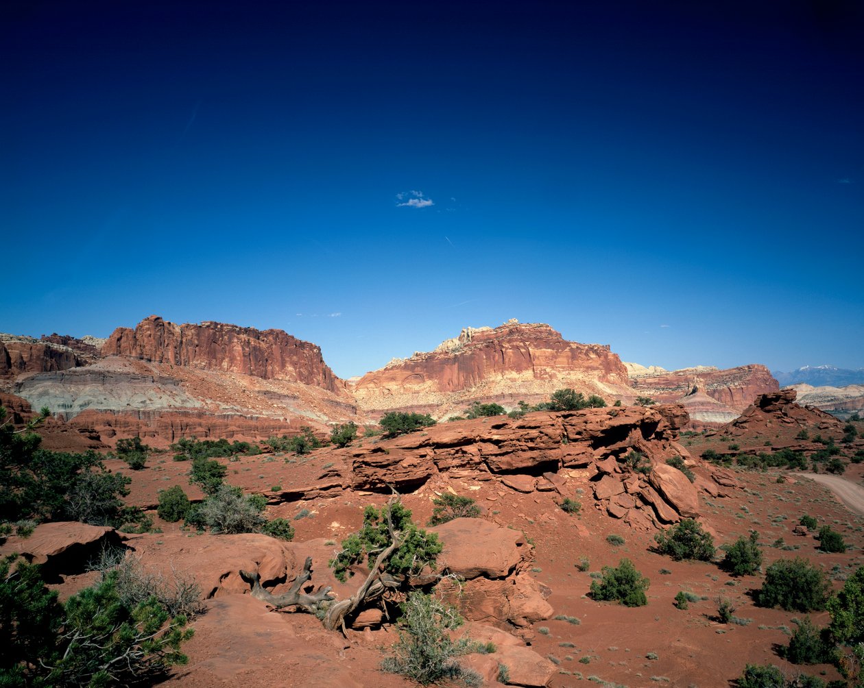Capitol Dome ve Baca Kayası, Capitol Reef Ulusal Parkı, Utah by Unbekannt Unbekannt