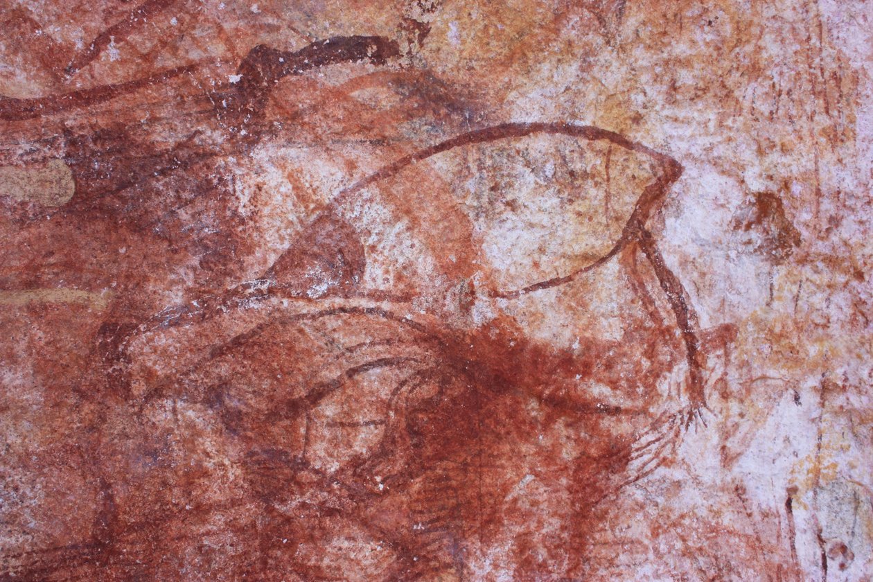 Erken röntgen kuşu by Unbekannt Unbekannt